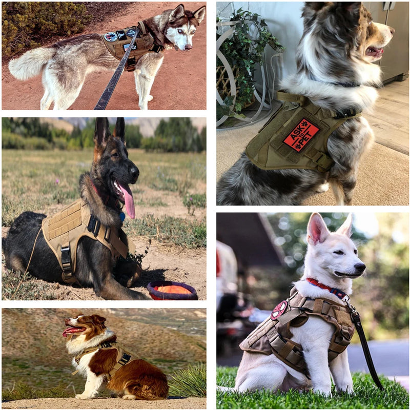 Dog Training Walking Vest Harness 