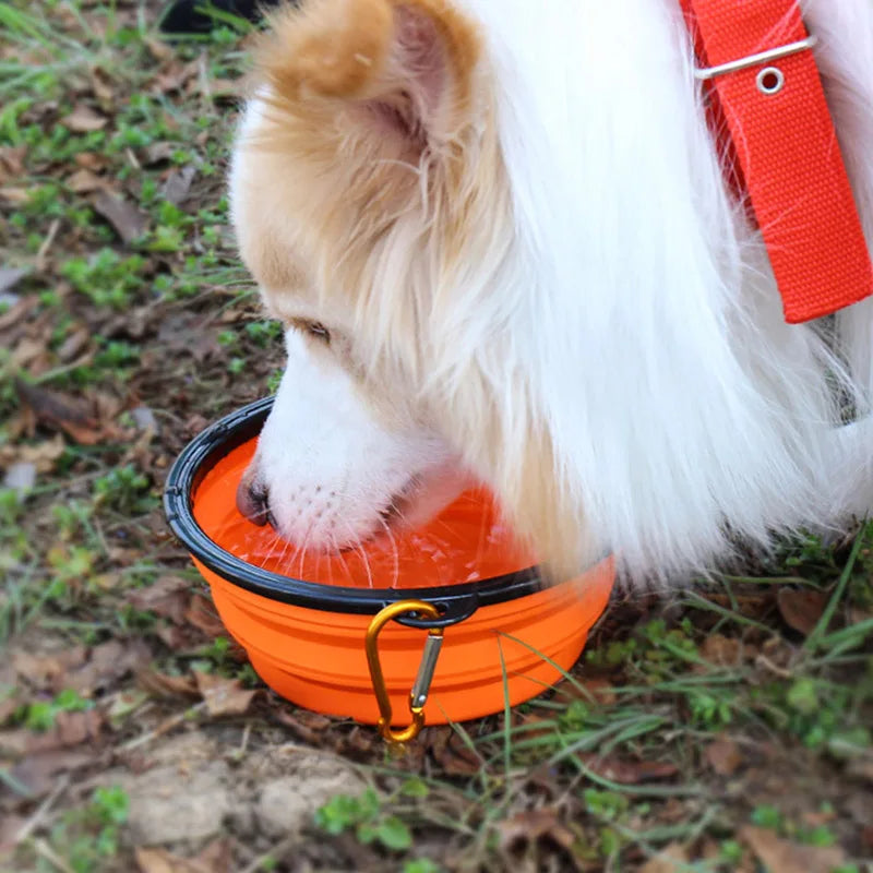 Pet Portable Travel Dish Bowl 